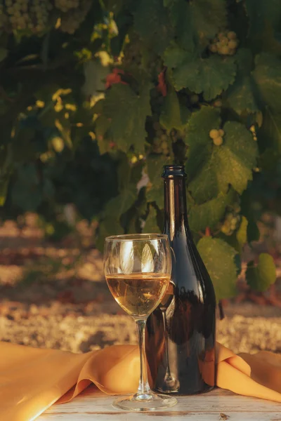 Um copo e uma garrafa de vinho branco na vinha do Outono. na mesa de madeira Tempo de colheita, pôr do sol na vinha no outono — Fotografia de Stock