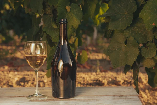 Una copa y una botella de vino blanco en el viñedo de otoño. sobre mesa de madera Tiempo de cosecha, puesta del sol en el viñedo en otoño —  Fotos de Stock