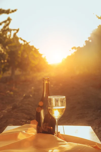 Una copa y una botella de vino blanco en el viñedo de otoño. sobre mesa de madera Tiempo de cosecha, puesta del sol en el viñedo en otoño — Foto de Stock