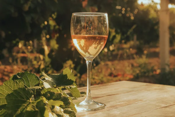 Un bicchiere di vino bianco nella vigna autunnale. sul tavolo di legno Tempo di vendemmia, tramonto in vigna in autunno — Foto Stock