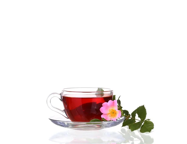 Травяной чай на белом фоне — стоковое фото