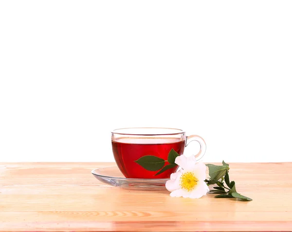 Tisane isolée sur fond blanc — Photo