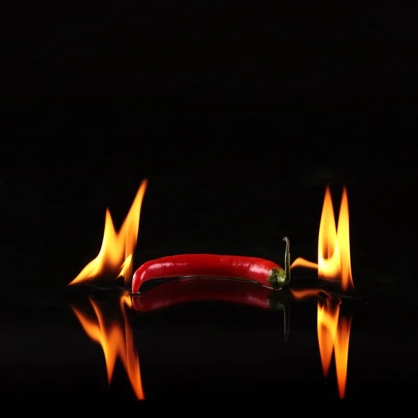 Czerwony ostry papryka chili na czarnym tle z płomieniem — Zdjęcie stockowe