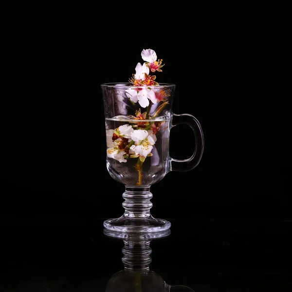 Tasse schwarzen Tee mit Kirschblüte. Kopierraum Hintergrund. — Stockfoto