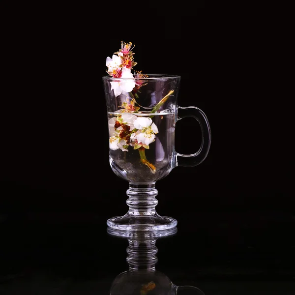 Tasse schwarzen Tee mit Kirschblüte. Kopierraum Hintergrund. — Stockfoto