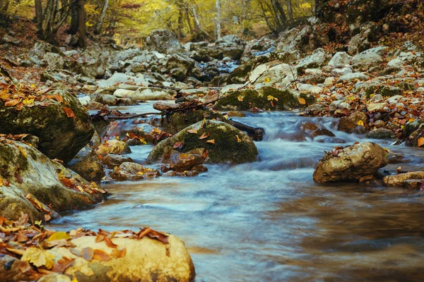 Sammlung von Herbstwäldern. Herbstlandschaft — Stockfoto