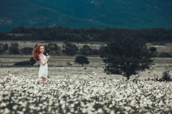 Mooi meisje met krullend rood haar in kamille veld — Stockfoto