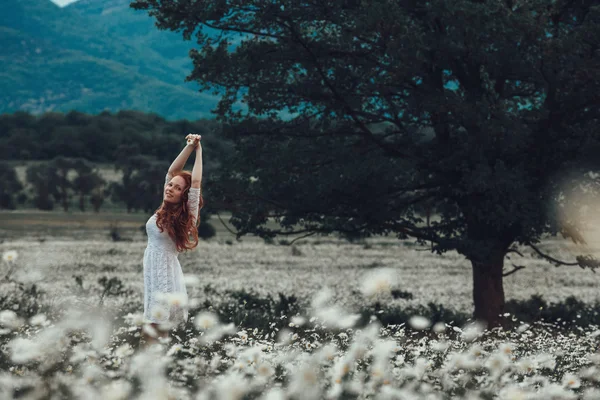 Schönes junges Mädchen mit lockigem rotem Haar im Kamillenfeld — Stockfoto