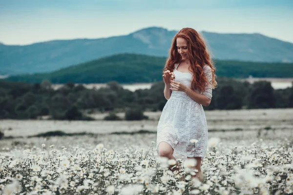 Menina bonita com cabelo encaracolado vermelho no campo de camomila — Fotografia de Stock