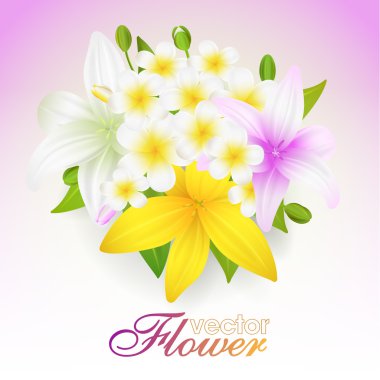 Güzel çiçekler arka plan, zambak ile vektör illüstrasyon - 