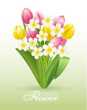 çiçekler çok güzel arka plan, vektör çizim Lale ile bir