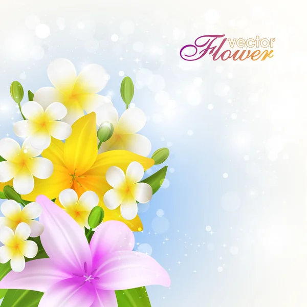 Beautiful flowers background, vector illustration with lilies - — Stock Vector