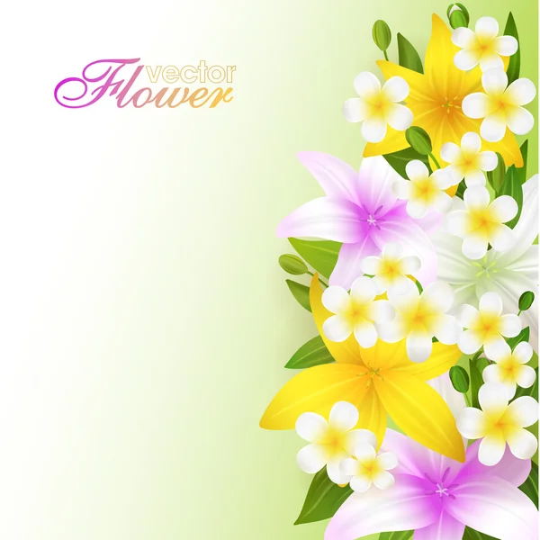 Beautiful flowers background, vector illustration with lilies - — Stock Vector
