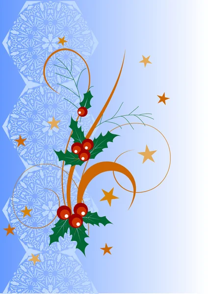 Illustration of a holly berries on abstract background — Stock Vector