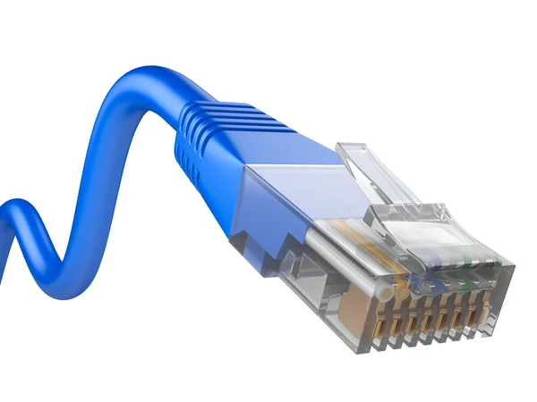 Patchcord niebieski sieci kablowej — Zdjęcie stockowe
