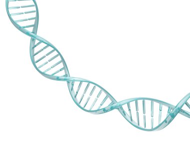 Cam sarmal Dna dizisi. 
