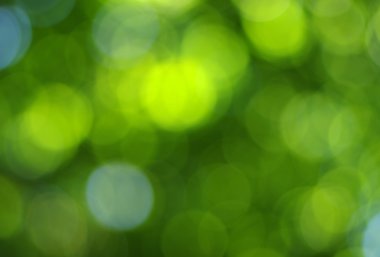 Yeşil bokeh arka plan