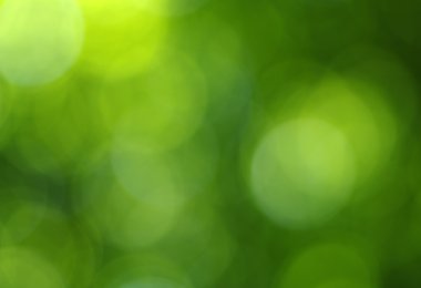 Yeşil bokeh arka plan