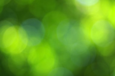 Yeşil bokeh arka plan