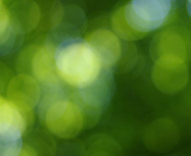 Yeşil bokeh arka plan
