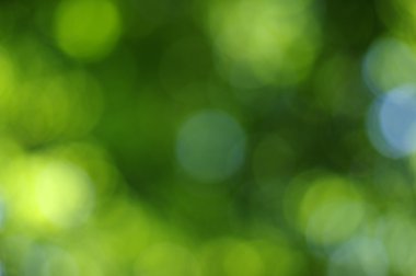 Yeşil bokeh arka plan