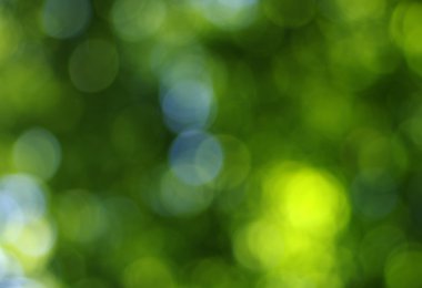 Yeşil bokeh arka plan