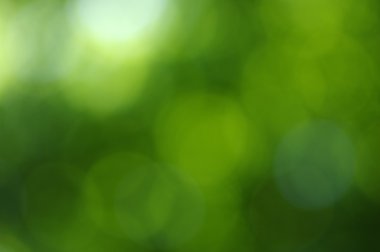 Yeşil bokeh arka plan