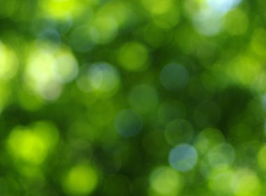 Yeşil bokeh arka plan