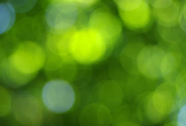 Green bokeh  background — Stock Photo, Image