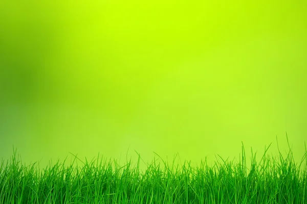 Green bokeh  background — Stock Photo, Image