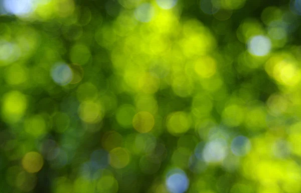 Green bokeh  background — Stock Photo, Image