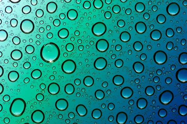  Su bardağa düşer.