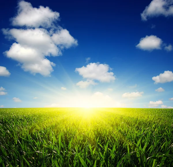 Campo y cielo — Foto de Stock