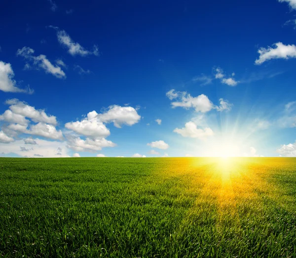 Field and sky — Stock Photo, Image