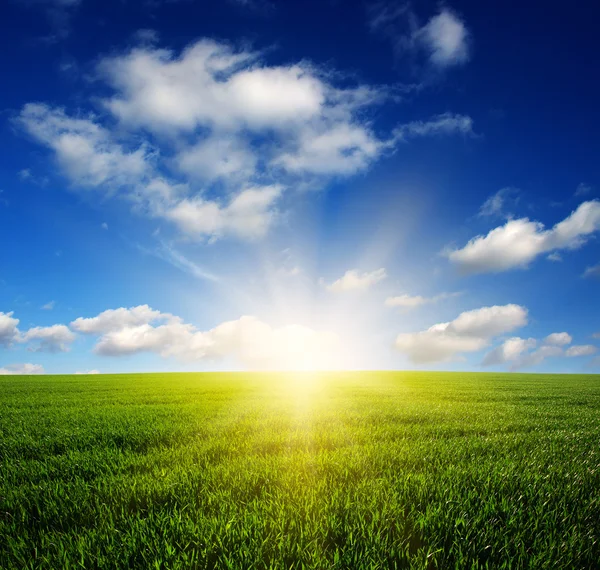 Field and sky — Stock Photo, Image