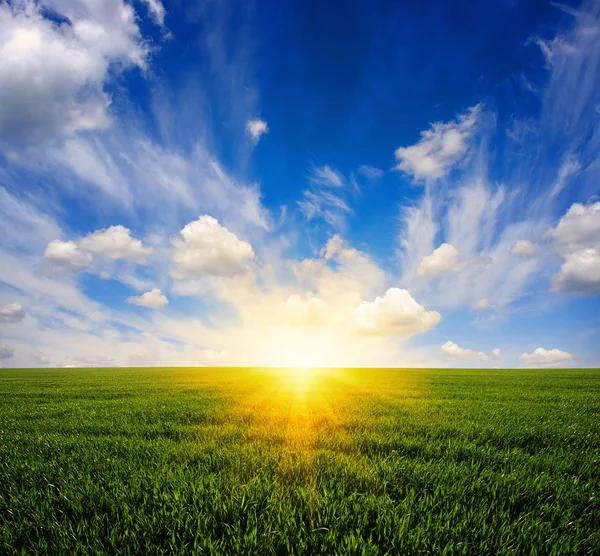 Campo y cielo — Foto de Stock