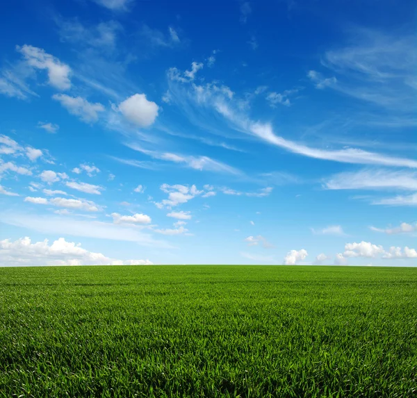 Campo e céu — Fotografia de Stock