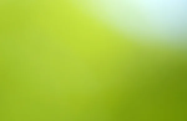 Sfondo sfocato verde — Foto Stock