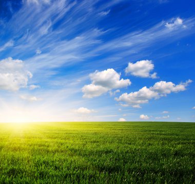 yeşil alan ve gökyüzü