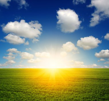 yeşil alan ve gökyüzü