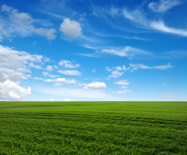 yeşil alan ve gökyüzü