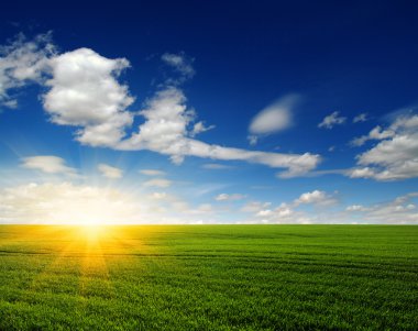 yeşil alan ve gökyüzü