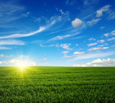 yeşil alan ve gökyüzü