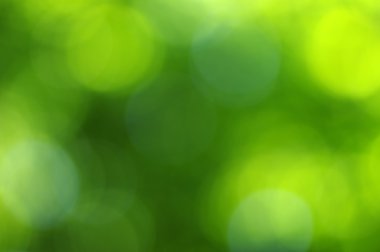 Yeşil bokeh soyut