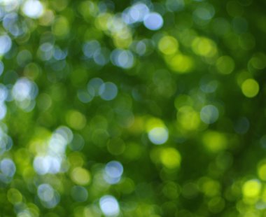 yeşil arka plan bulanık