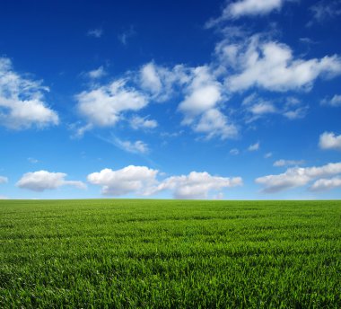 yeşil alan ve gökyüzü