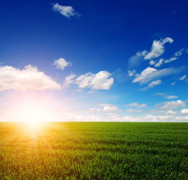 yeşil alan ve gökyüzü