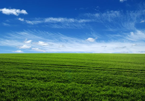 Groen veld en lucht — Stockfoto