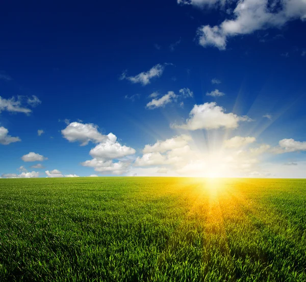 Campo verde e cielo — Foto Stock