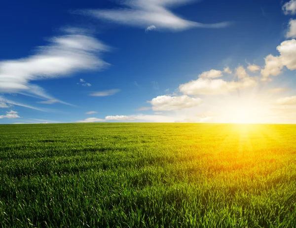 Campo verde y cielo — Foto de Stock